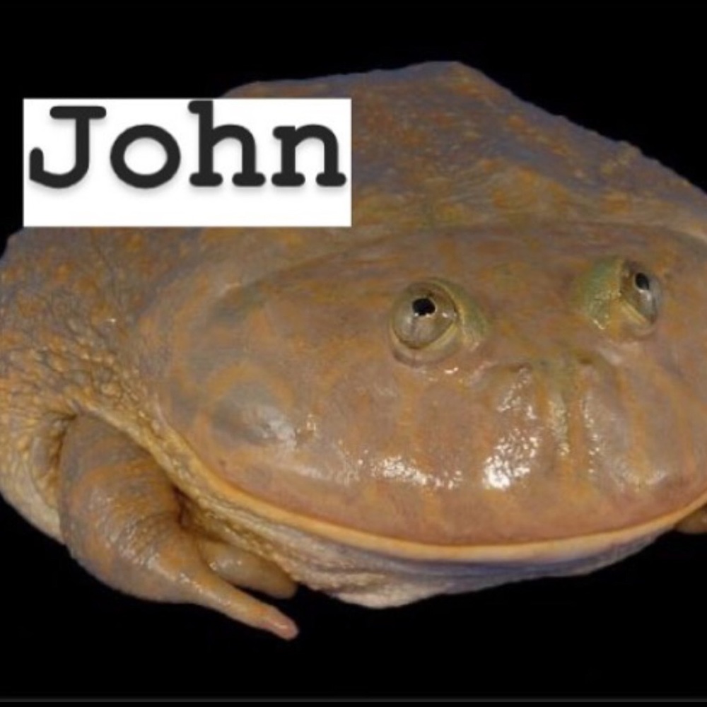 Meet your Posher, John